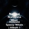 Download track Pleasant Spacey Whale Night