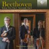 Download track String Trio In E-Flat Major, Op. 3 V. Menuetto. Moderato-Minore