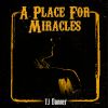 Download track A Place For Miracles