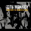 Download track Monkey Bites