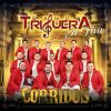 Download track El Polvoron (En Vivo)