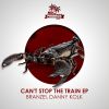 Download track Can't Stop The Train (Original Mix)