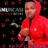 Download track Ngifuni Mfene