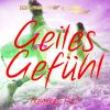 Download track Geiles Gefuhl (Timster & Ninth Edit)