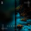 Download track Flaminco