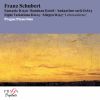 Download track Schubert: Allegro In A Minor, D. 947, Op. Post. 144 