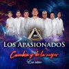 Download track Amigos Con Derecho / Ayer / Oro / No Debes Llorar / Nos Vamos A Casar / Voy A Fumarme Tu Amor (Live)
