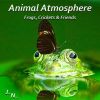 Download track Frogs, Birds And Insects