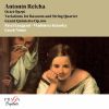 Download track Grand Quintetto For Horn And String Quartet In E Major, Op. 106: I. Allegro Ma Non Troppo