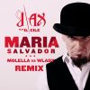 Download track Maria Salvador (Molella Vs. Wlady Remix)