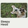 Download track Relaxing Dog Music, Pt. 4