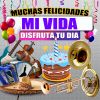 Download track Felicidades A Mi Vida - Version Grupero (Mujer)