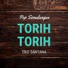 Download track Torih - Torih