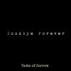 Download track Goodbye Forever (Original Mix)