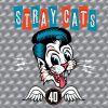 Download track Cat Fight (Over A Dog Like Me)