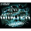 Download track Style Sesion Winter 2013 Dj Rajobos 1