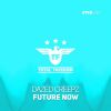 Download track Future Now (Radio Edit)