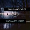 Download track Enchanted Forest (Jp Lantieri Remix)