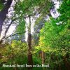 Download track Abundant Forest Trees In The Wind, Pt. 3