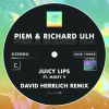 Download track Juicy Lips (David Herrlich Remix - Extended Mix)