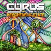 Download track Psychedelic State