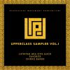 Download track Hands Up (Sampler Version)