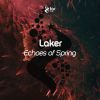 Download track Echoes Of Spring (Original Mix)