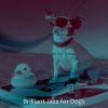 Download track Glorious Ambience For Well Behaved Dogs