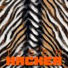 Download track Tiger (Pincky Mix)