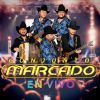 Download track Tonto Mi Corazón (En Vivo)