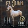 Download track El Juan