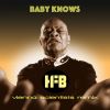 Download track Baby Knows (Vienna Scientists Instrumental Dub Mix)