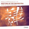 Download track Meeting In'the Orchestra (Radio Edit)