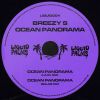 Download track Ocean Panorama (4 A​. ​M. Mix)