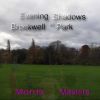 Download track Shadows In Brockwell Park