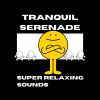 Download track Tranquil Serenade