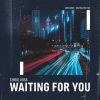 Download track Waiting For You (Extended Mix)