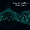 Download track Binaural Beats Sleep (Delta Waves)