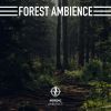 Download track Living Forest