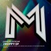 Download track Zroppy (Rafa Villegas Remix)