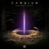 Download track Universe Inside You (Cambium RMX)