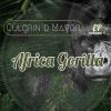 Download track Culgrin D Mayor Get Why