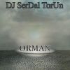 Download track Orman