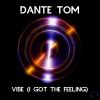 Download track Vibe (I Got The Feeling) (Radio Edit)