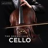 Download track Cello Concerto In E Minor, Op. 85: IV. Allegro - Moderato - Allegro Ma Non Troppo