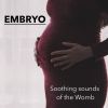 Download track Sounds From Mothers Womb