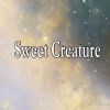 Download track Sweet Creature (Fitness Dance Instrumental Version)