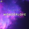 Download track Wonderlove