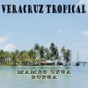 Download track Salsa A La Veracruzana