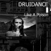 Download track Like A Poison (Remix; Vladimir Christopher Industrial Mix)